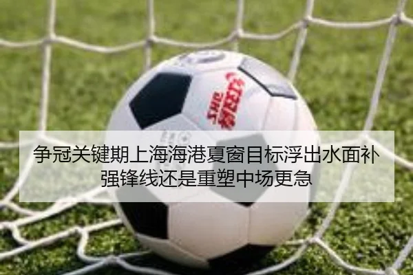 争冠关键期上海海港夏窗目标浮出水面补强锋线还是重塑中场更急